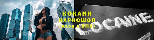 PSILOCYBIN Абдулино