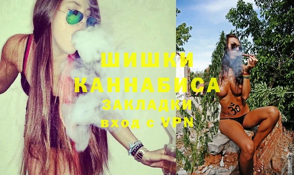 винт Абаза