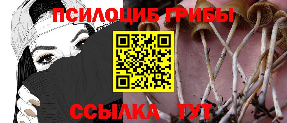 Дальнереченск  Галлюциногенные грибы MAGIC MUSHROOMS  Вход с VPN 
